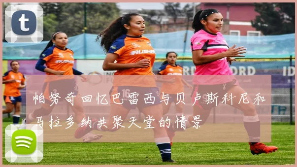 帕努奇回忆巴雷西与贝卢斯科尼和马拉多纳共聚天堂的情景